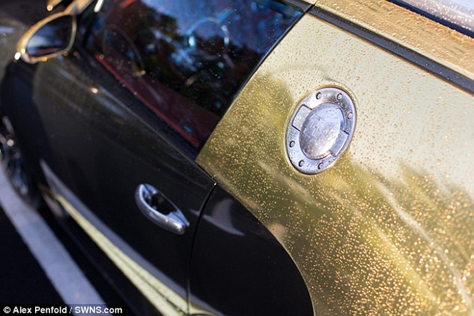 black-gold-bugatti-veyron-5