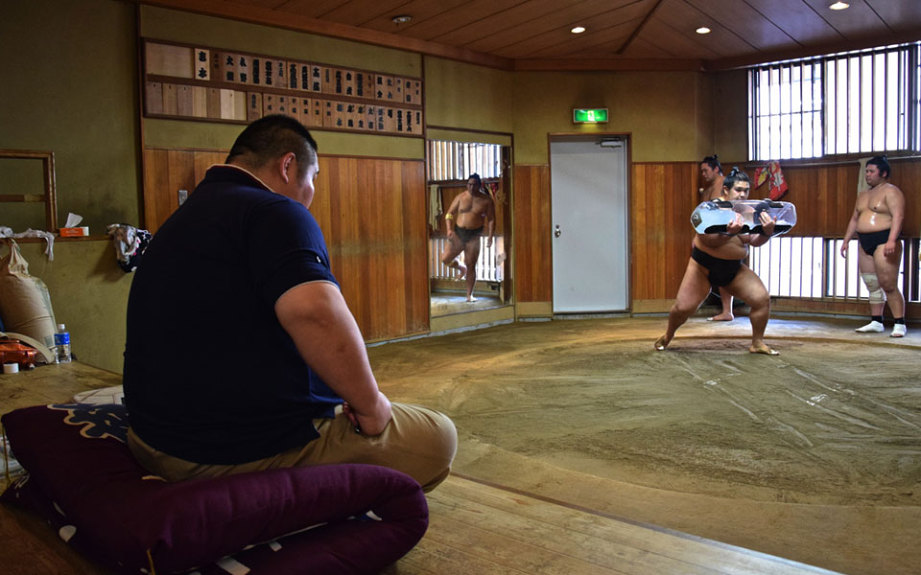 Sumo-Training-Stables-01-921x576